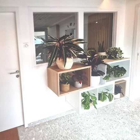 Moderne F3 - 10 Min Aeroport Cdg - Paris - Parc Asterix - Disneyland Paris - Tour Eiffel - Champs Elysee - 15 Min Parc Des Expositions Villepinte - 10 Min Le Bourget - 5 Min Du Golf International De Roissy- Jo 2024 Le Thillay Exteriör bild